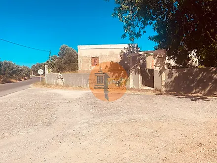 image-1nCfkDEoNaO-0