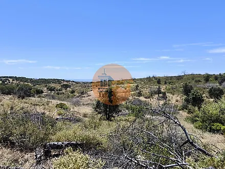image-35g9k516wsh-0