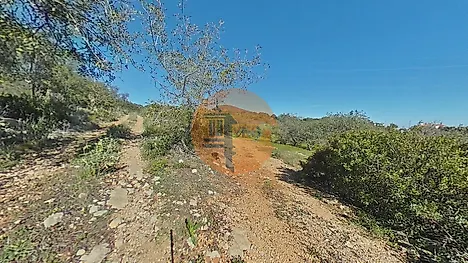 image-5Xy1tUN5p6w-0