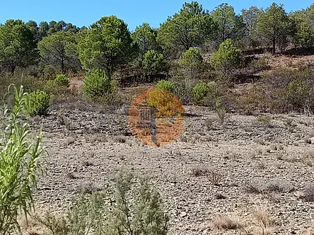 Land for sale in Alcoutim, Portugal — €80,000