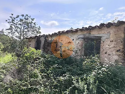 image-9v8tb5DpUtU-0