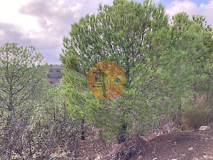 Land for sale in Castro Marim, Portugal — €84,000