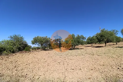 Land for sale in São Brás de Alportel, Portugal — €279,000
