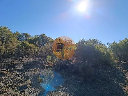 image-HKOvS1sv2ra-0