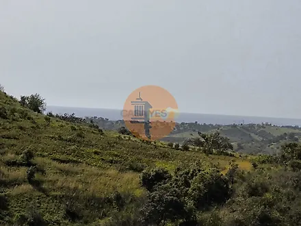 image-K7xFo9BZNYH-0
