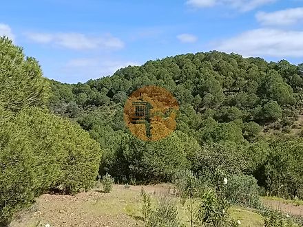 Land for sale in Castro Marim, Portugal — €80,000