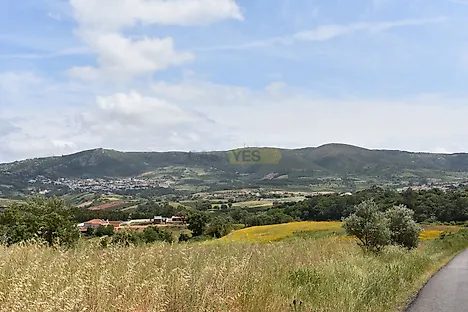 image-JRN7hUulcKD-0