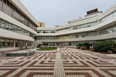 image-6wNwSbHNEjA-0