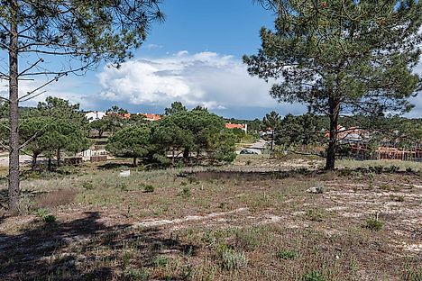 Land for sale in Alcácer do Sal, Portugal — €850,000