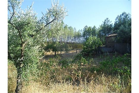 image-6XTGEepSZV7-0