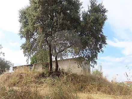 image-7Z5LlykGixu-0