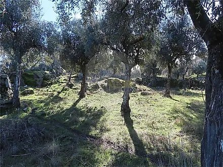 image-Ae7BSSNNITm-0