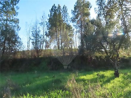 image-FP60YFHJh3l-0
