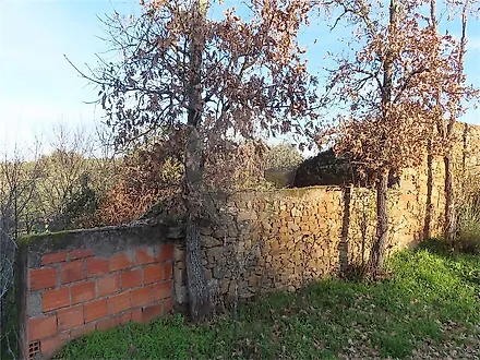 image-GV8ed0kXDjv-0