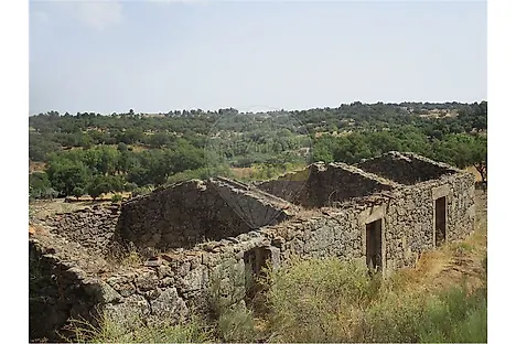 image-IFSZMAwaONy-0