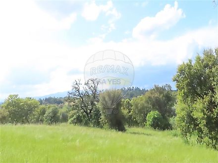 image-KQoQzK5pP7a-0