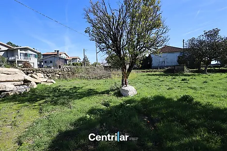 image-8MxNTgw9sCN-0