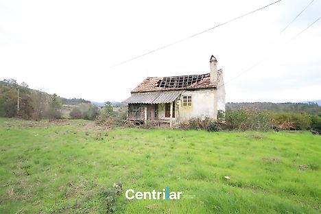 image-9iisjoFNeyQ-0