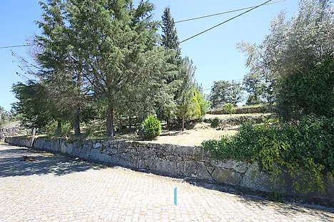 image-C4Zd84fzjqF-0