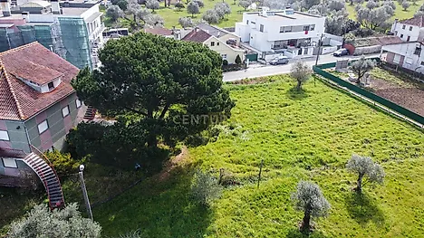 Land for sale in Pombal, Portugal — €428,000