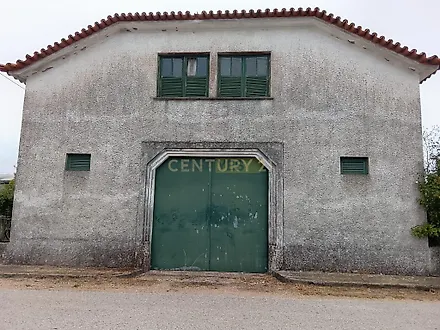 image-BELWBumMuuz-0