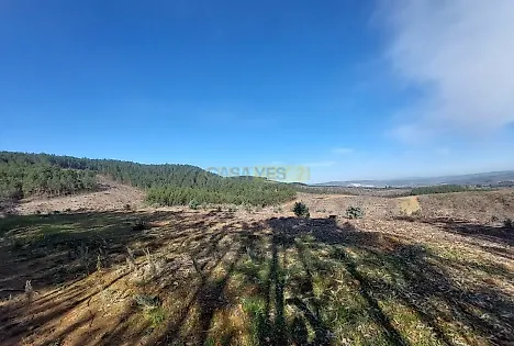 image-BJOhXEoSj92-0