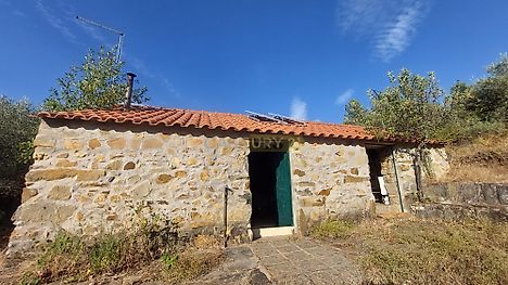 image-Hm6Wj9y0VYG-0