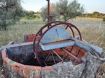 image-5phjPaJfzfR-0