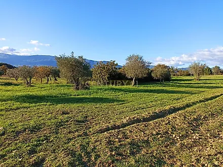 image-IUpIfSJxuCz-0