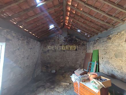 image-LnYQqlUQkiz-0