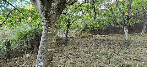 image-1BMLftK61HB-0
