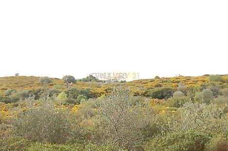 image-EWzrMKnbxqf-0