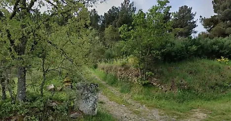 image-6RwHzeWjIGR-0