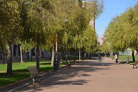 image-LOLDTfmKLSE-0