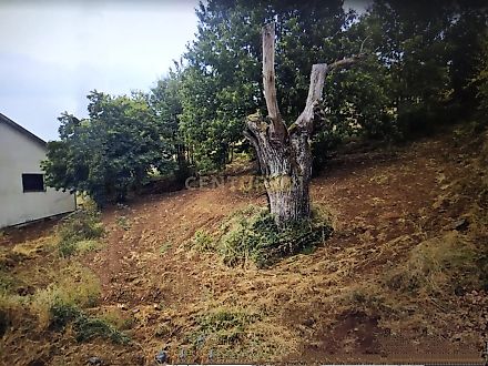 image-9g3jQd6r9MQ-0