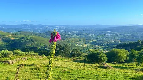 image-9Pe03n99QuW-0