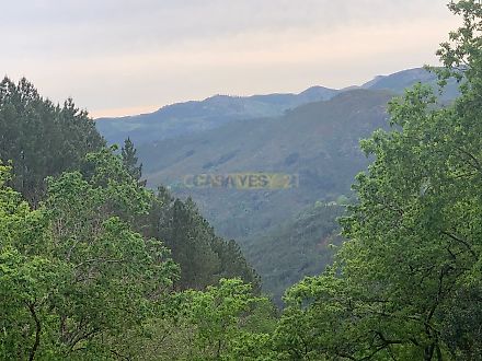 image-CGblUfoVKh-0