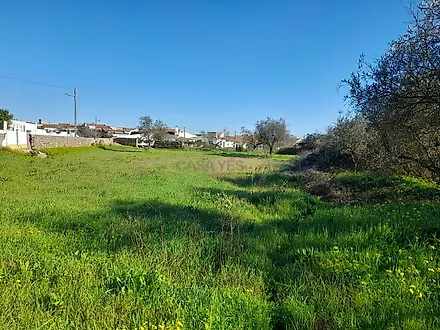 image-DhtJvWTVZUr-0