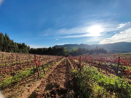 Land for sale in Mafra, Portugal — €750,000