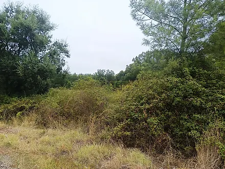 Land for sale in Tomar, Portugal — €65,000