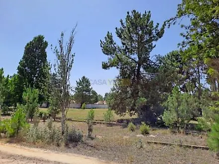 Land for sale in Salvaterra de Magos, Portugal — €450,000