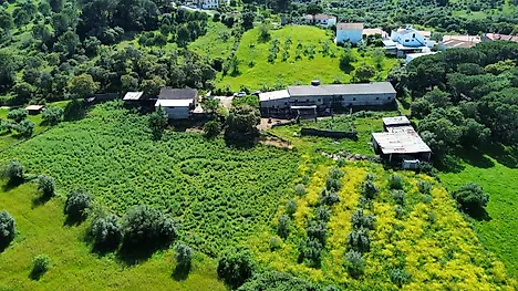 Land for sale in Torres Novas, Portugal — €110,000