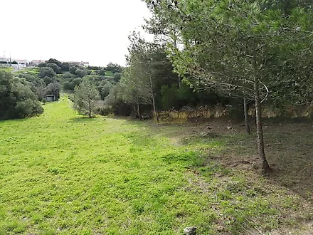 Land for sale in Cascais, Portugal — €250,000