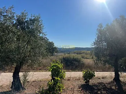 Land for sale in Figueiró dos Vinhos, Portugal — €150,000