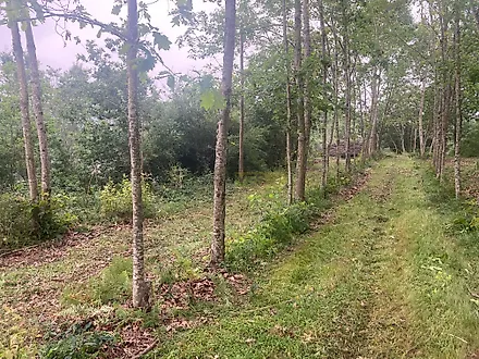 Land for sale in Penafiel, Portugal — €199,000