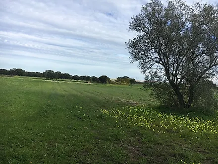 Land for sale in Palmela, Portugal — €155,000