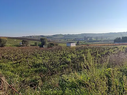 Land for sale in Torres Vedras, Portugal — €98,000