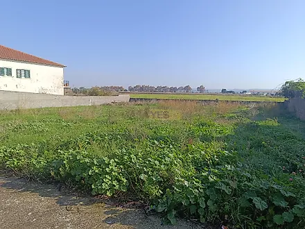 Terreno em Golegã