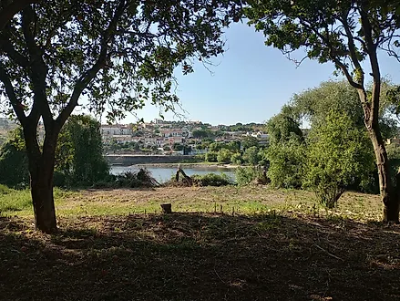 Land for sale in Chamusca, Portugal — €135,000