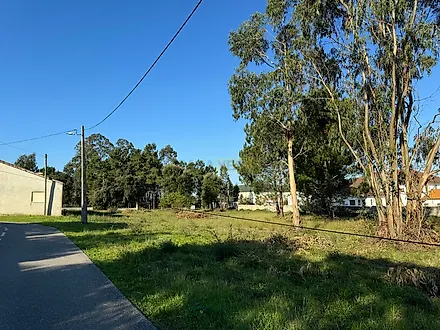 Land for sale in Marinha Grande, Portugal — €139,500